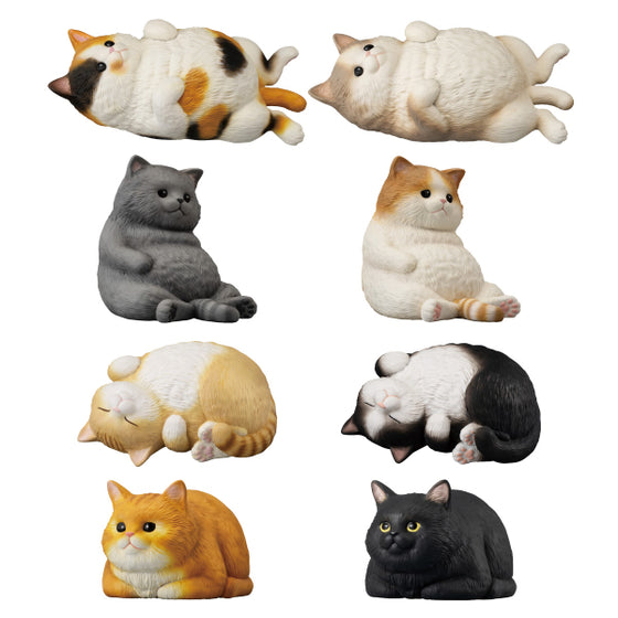 MOCCHIRI KORORIN ♪ CAT W/O GUM (set of 8) 貓