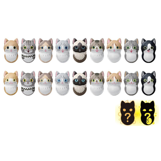 Coonuts CoonYats 2 W/O GUM (box of 14 packs) 不倒翁 貓 cat