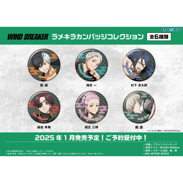 WIND BREAKER Glittery Can Badge Collection (set of 6) 防風少年 防風鈴 襟章 徽章