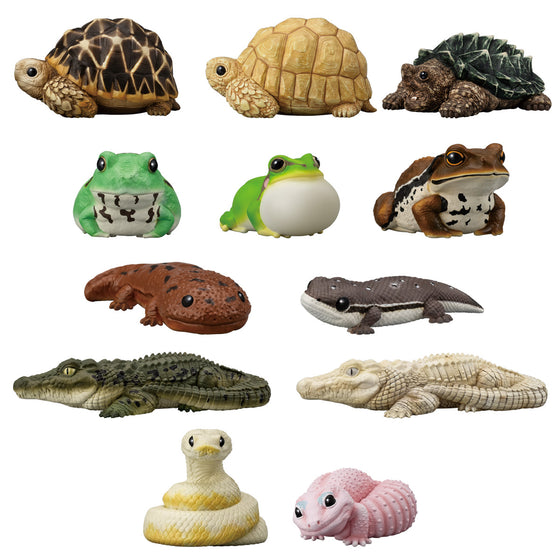 TE-NORI FRIENDS 12 -REPTILES & AMPHIBIANS-  W/O GUM (set of 12) 兩棲動物