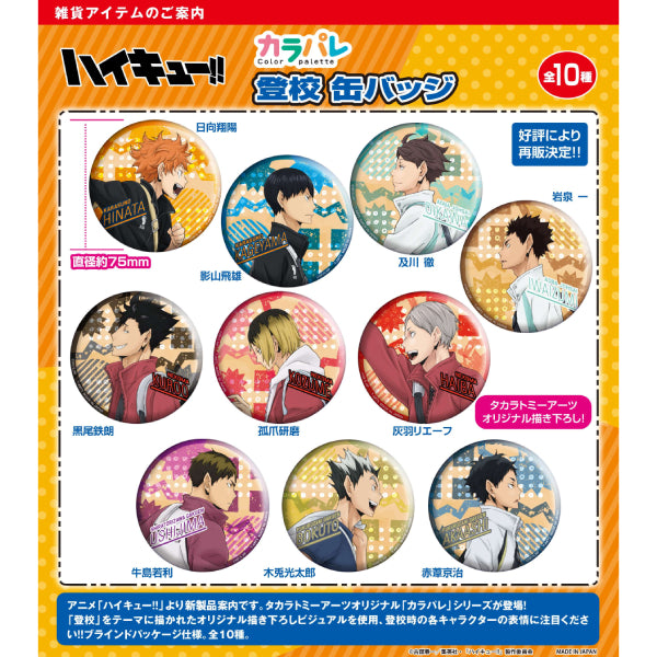 Colorpalette Haikyuu!! Going to School Tin Badge (set of 10) 排球少年 襟章