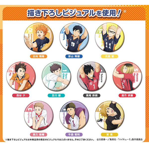 Haikyuu!! Tin Badge Collection (pack of 10) 排球少年 襟章