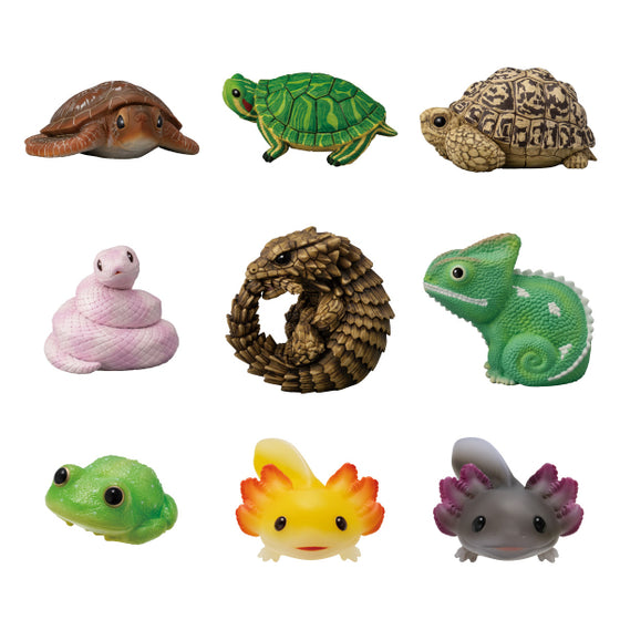 TE-NORI FRIENDS 11 REPTILES & AMPHIBIANS W/O GUM (set of 10) 爬蟲 兩棲 tenori