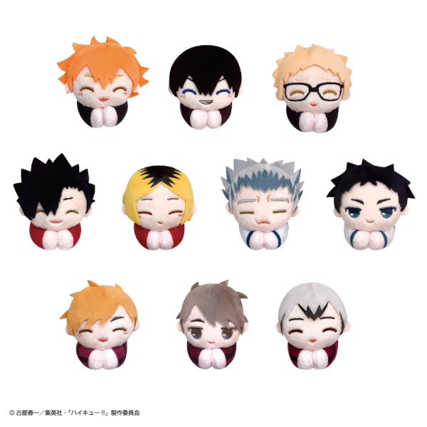 Haikyu!! Hagu Chara Collection Special (set of 10) (2024 June Resale ver.) 排球少年 hug
