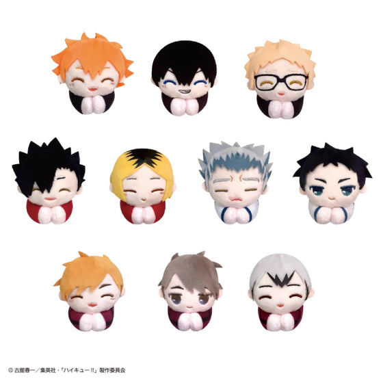 Haikyu!! Hagu Chara Collection Special (set of 10) (2024 June Resale ver.) 排球少年 hug