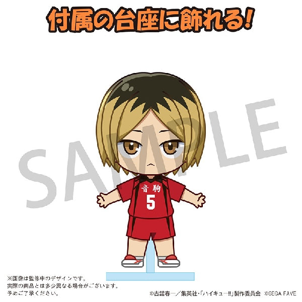 Acrylic Doll HAIKYU!! (Shoyo Hinata/ Tobio Kageyama/ Kei Tsukishima/ Tetsuro Kuroo/ Kenma Kozume) 排球少年 日向翔陽 影山飛雄 月島螢 黒尾鐵朗 孤爪研磨
