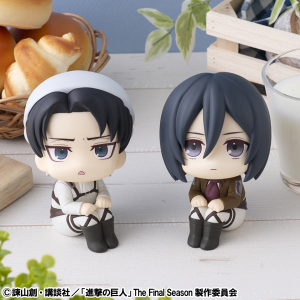 Lookup Attack on Titan Levi Cleaning up ver. & Mikasa Ackerman [with gift] 進擊的巨人 里維 米卡莎 阿加曼