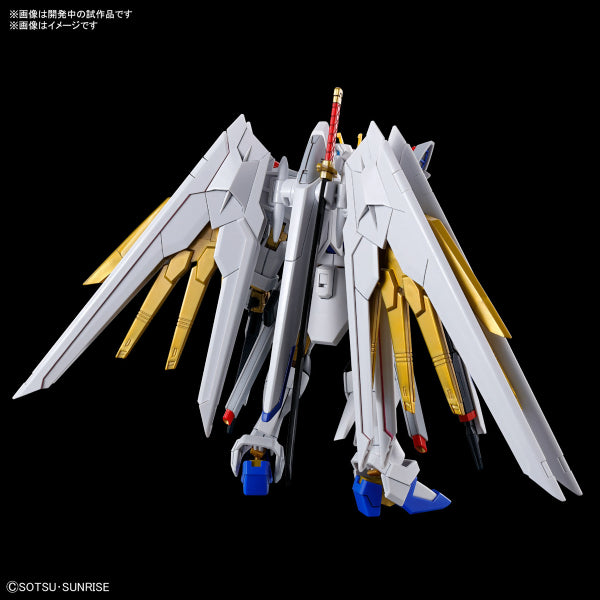 HG 1/144 MIGHTY STRIKE FREEDOM GUNDAM 機動戰士 高達 突擊自由高達極 非凡突擊自由高達