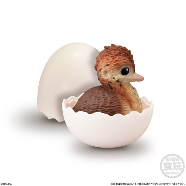 TE-NORI BABY FRIENDS -BIRD- (set of 6) 掌上動物 鳥