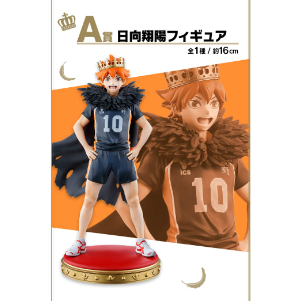 Ichiban Kuji Haikyu!! ~10th anniversary! ~ 一番賞 排球少年 日向翔陽 影山飛雄