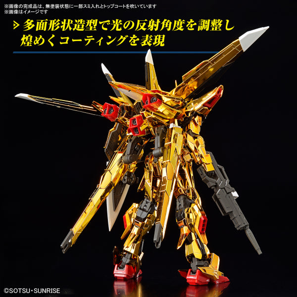 RG 1/144 AKATSUKI GUNDAM OOWASHI unit 機動戰士 高達 曉高達 大鷲裝備