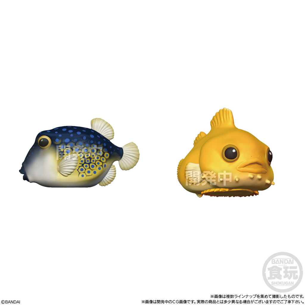 URUTSUYA TE-NORI FRIENDS (set of 8) 兩棲 動物