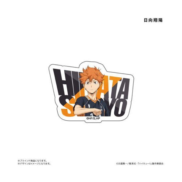 Haikyu!! Acrylic Name Badge (set of 8) 排球少年 名字襟章 徽章