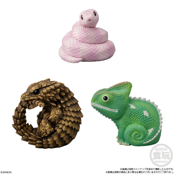 TE-NORI FRIENDS 11 REPTILES & AMPHIBIANS W/O GUM (set of 10) 爬蟲 兩棲 tenori