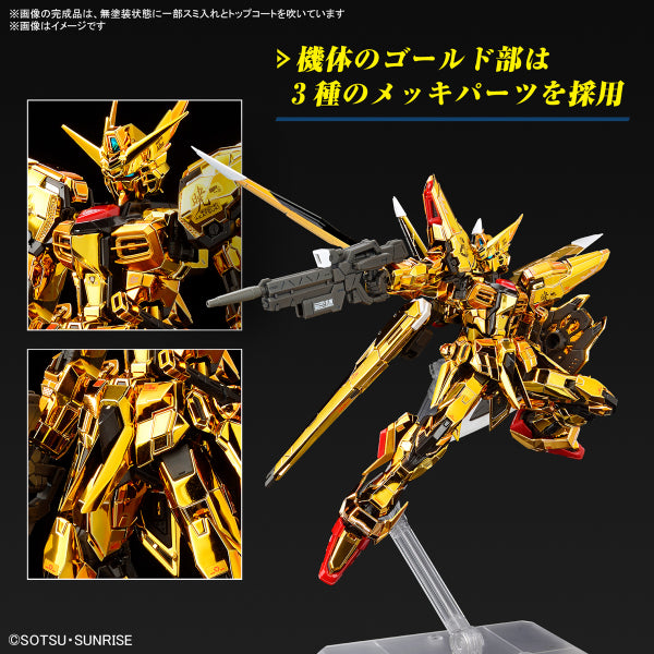 RG 1/144 AKATSUKI GUNDAM OOWASHI unit 機動戰士 高達 曉高達 大鷲裝備