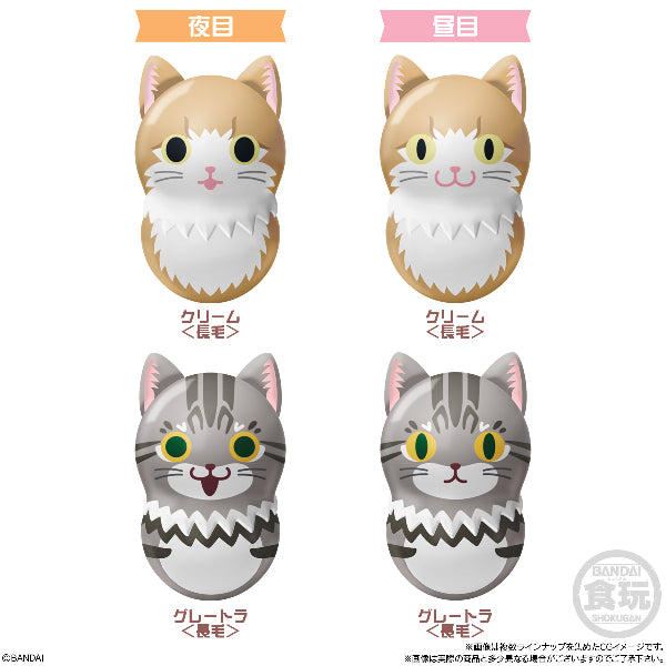 Coonuts CoonYats 2 W/O GUM (box of 14 packs) 不倒翁 貓 cat