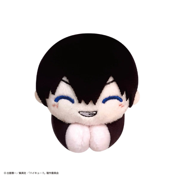 Haikyu!! Hagu Chara Collection Special (set of 10) (2024 June Resale ver.) 排球少年 hug