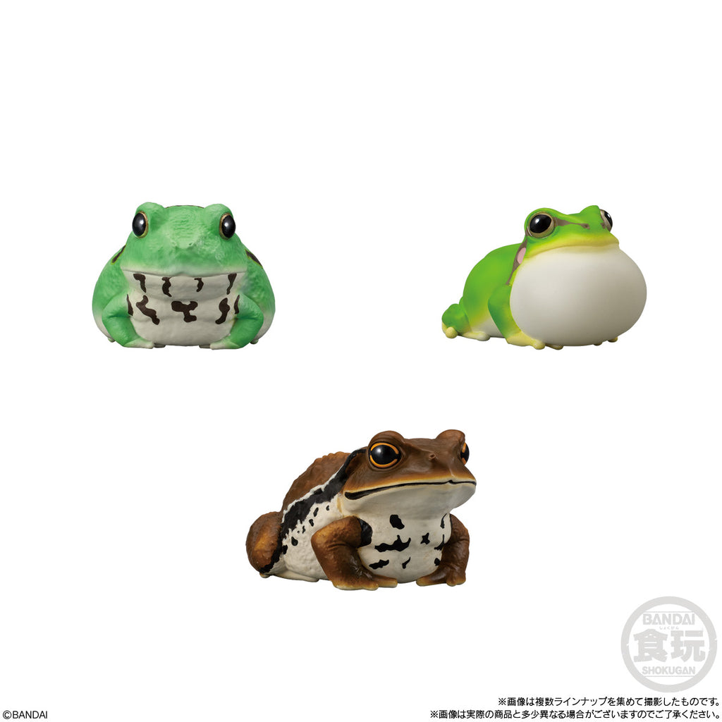 TE-NORI FRIENDS 12 -REPTILES & AMPHIBIANS-  W/O GUM (set of 12) 兩棲動物