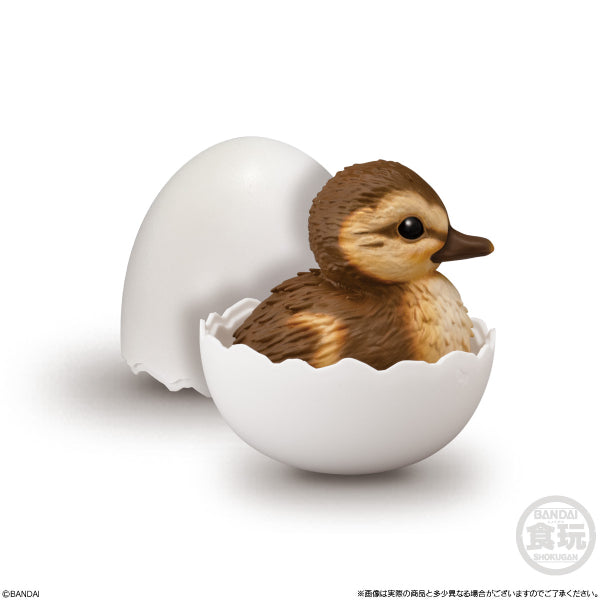 TE-NORI BABY FRIENDS -BIRD- (set of 6) 掌上動物 鳥