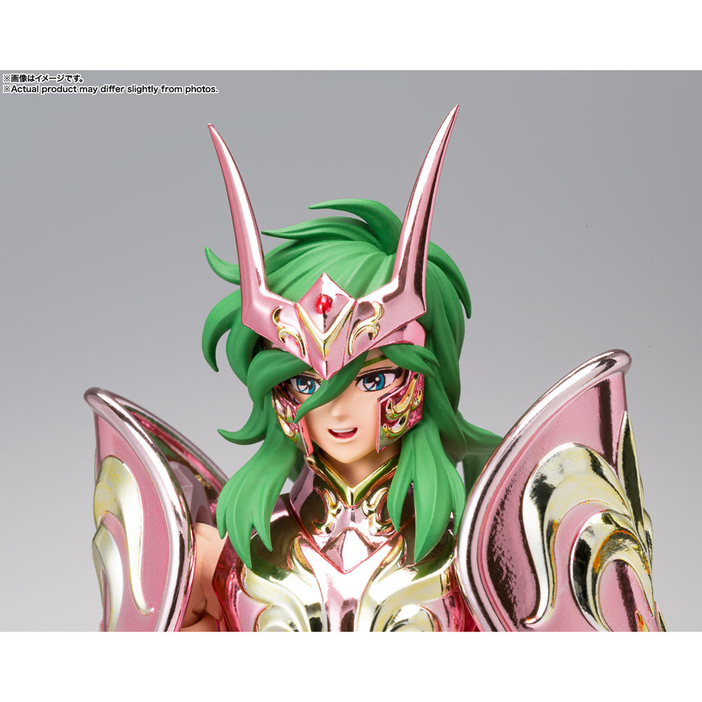 SAINT CLOTH MYTH EX ANDROMEDA SHUN【GOD CLOTH】 聖闘士 仙女座 瞬