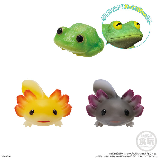 TE-NORI FRIENDS 11 REPTILES & AMPHIBIANS W/O GUM (set of 10) 爬蟲 兩棲 tenori