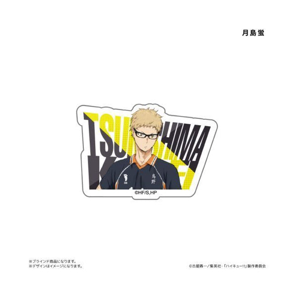 Haikyu!! Acrylic Name Badge (set of 8) 排球少年 名字襟章 徽章