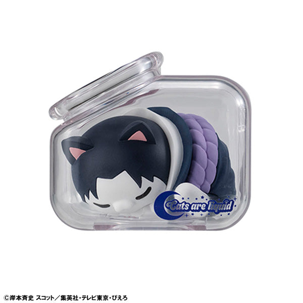 MEGA CAT PROJECT NARUTO Shippuden Good Night Nyaruto! (Box of 8) 火影忍者