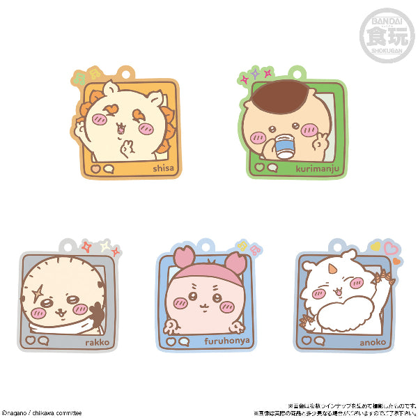 CHIIKAWA RUBBER MASCOT GUMMI 4 (box of 12 packs) ちいかわ 小可愛 吉伊卡哇 掛飾 吊飾 鎖匙扣