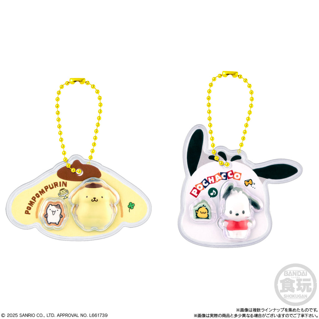Sanrio Characters Package Charm & Chocoboro (set of 10) 三麗鷗