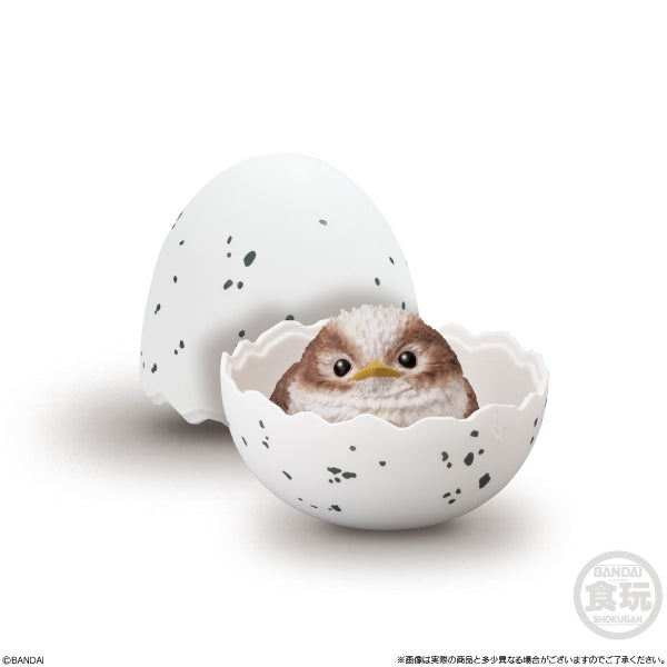 TE-NORI BABY FRIENDS -BIRD- (set of 6) 掌上動物 鳥