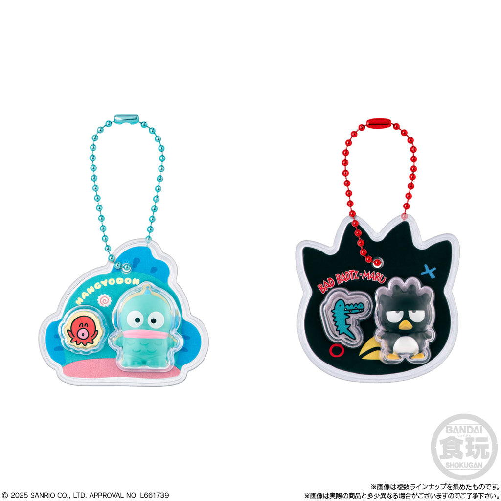 Sanrio Characters Package Charm & Chocoboro (set of 10) 三麗鷗