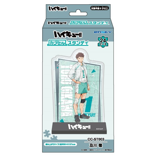 Haikyu!! Puzzle Standee 排球少年 日向翔陽 影山飛雄 及川撤 岩泉一 黒尾鐵朗 孤爪研磨 立牌