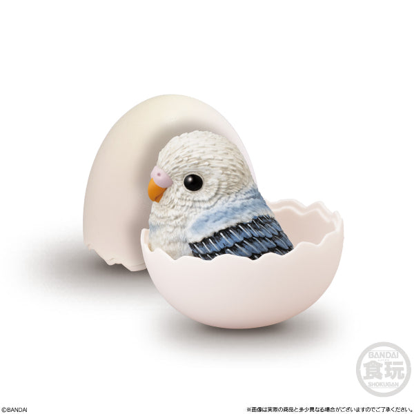 TE-NORI BABY FRIENDS -BIRD- (set of 6) 掌上動物 鳥