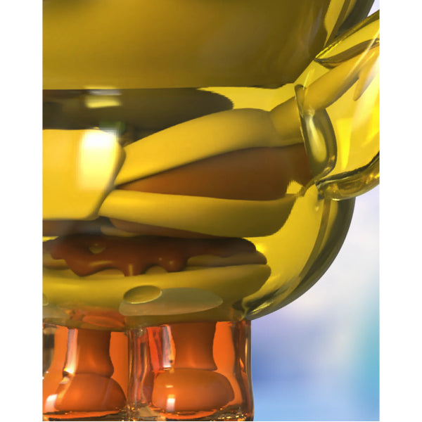 Funny Anatomy LINE Friends - (Brown / Sally) 解剖 (熊大 / 莎莉)