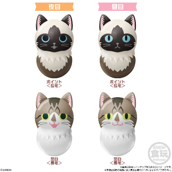 Coonuts CoonYats 2 W/O GUM (box of 14 packs) 不倒翁 貓 cat