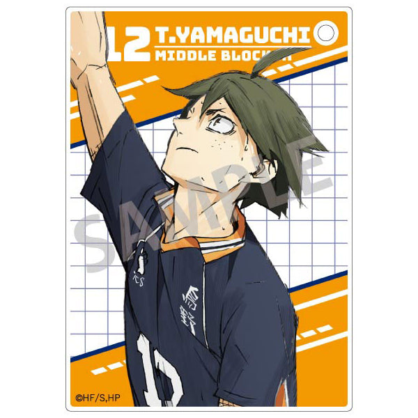 Haikyu!! Trading Acrylic Cards (set of 10) 排球少年 收藏卡