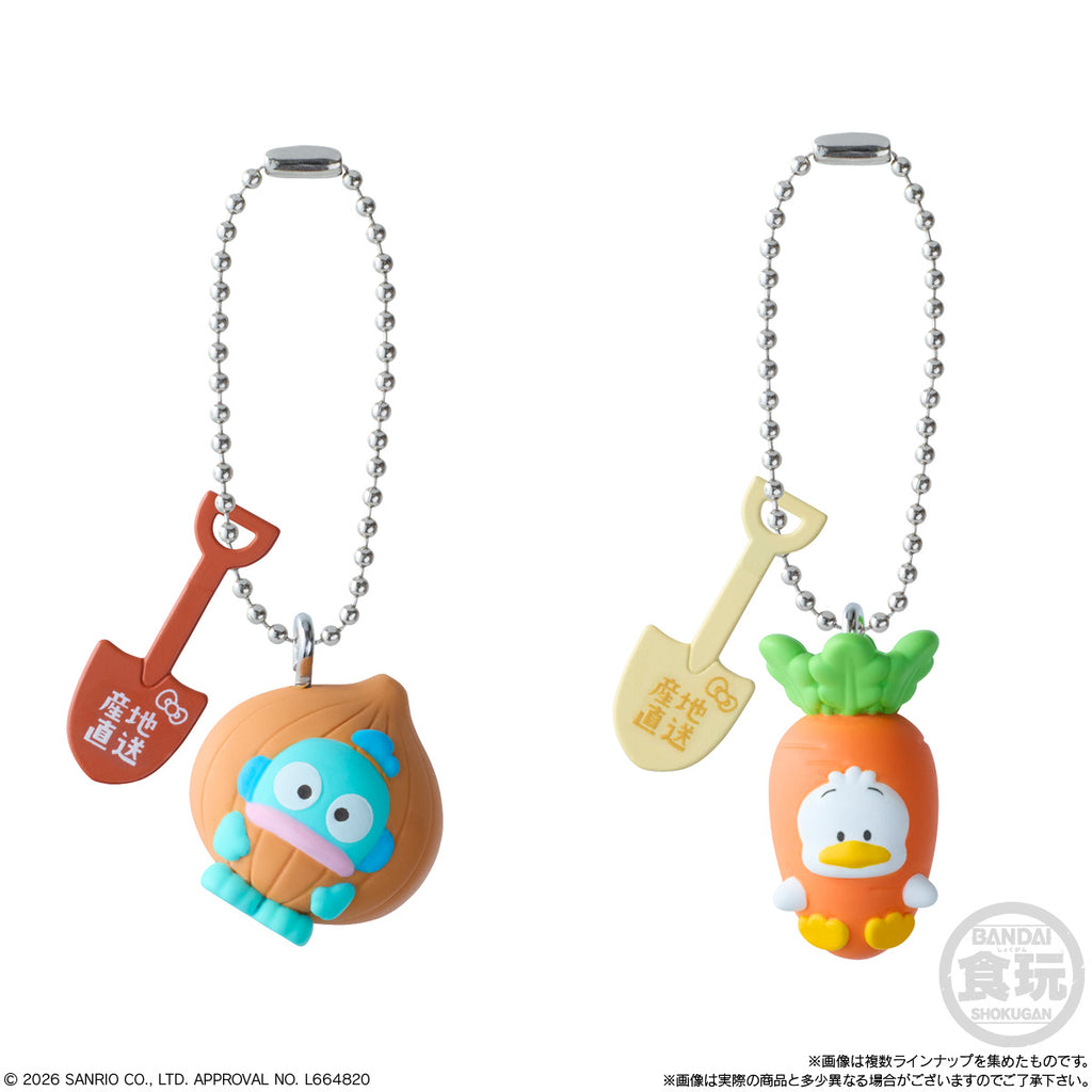 SANRIO CHARACTERS VEGETABLE CHARM SHOKUGAN BOX 3 (pack of 12) 三麗鷗