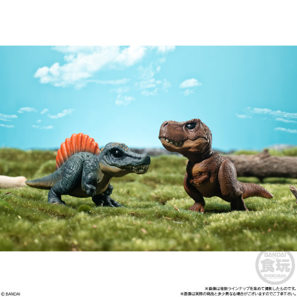 THE STRONGEST! DINOSAUR FRIENDS W/O GUM (set of 5) 恐龍