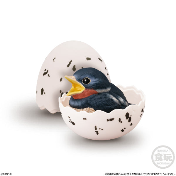 TE-NORI BABY FRIENDS -BIRD- (set of 6) 掌上動物 鳥