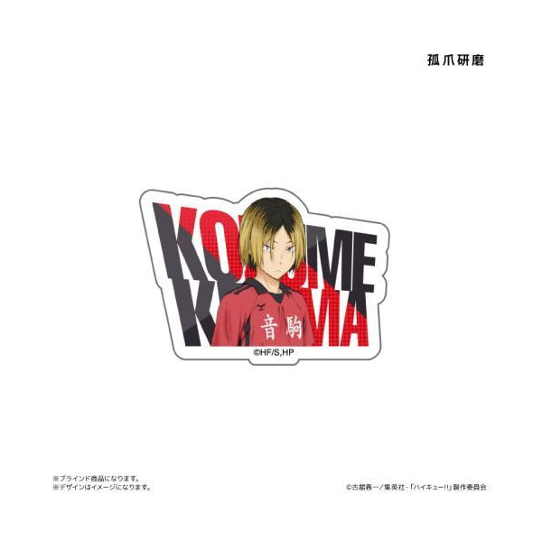 Haikyu!! Acrylic Name Badge (set of 8) 排球少年 名字襟章 徽章