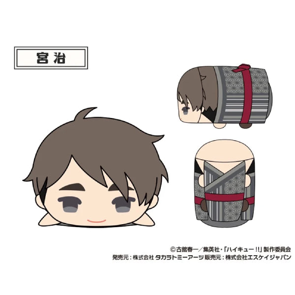 Mochimochi Mascot WA Haikyu!! vol.2 (set of 9) 排球少年 公仔