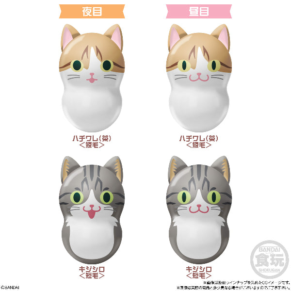 Coonuts CoonYats 2 W/O GUM (box of 14 packs) 不倒翁 貓 cat