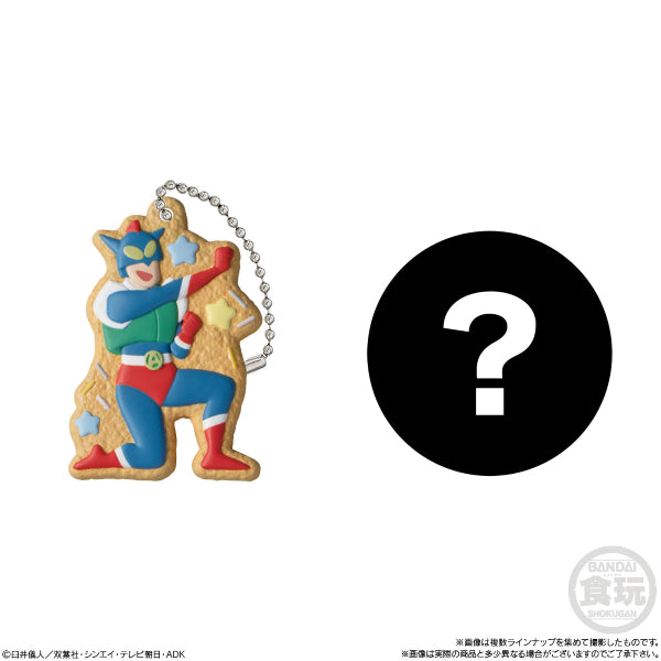 CRAYON SHIN-CHAN COOKIE CHARMCOT W/O GUM (box of 14) 蠟筆小新 鎖匙扣 吊飾 掛飾