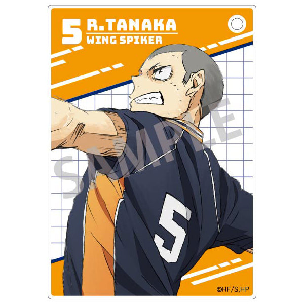 Haikyu!! Trading Acrylic Cards (set of 10) 排球少年 收藏卡