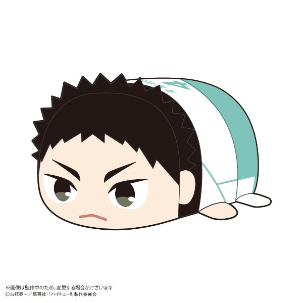 Haikyu!! Potekoro Mascot (set of 6) 排球少年