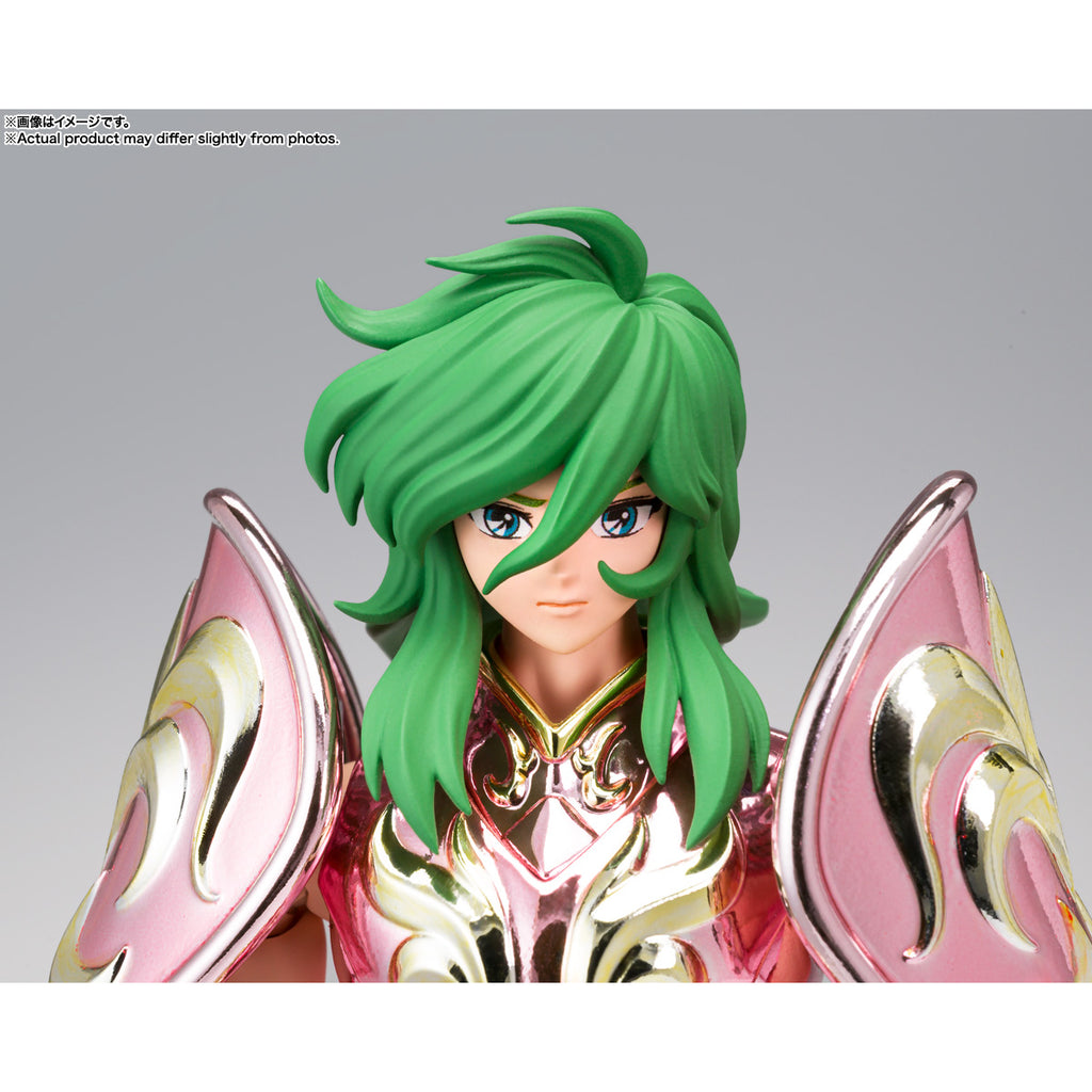 SAINT CLOTH MYTH EX ANDROMEDA SHUN【GOD CLOTH】 聖闘士 仙女座 瞬