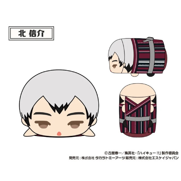 Mochimochi Mascot WA Haikyu!! vol.2 (set of 9) 排球少年 公仔