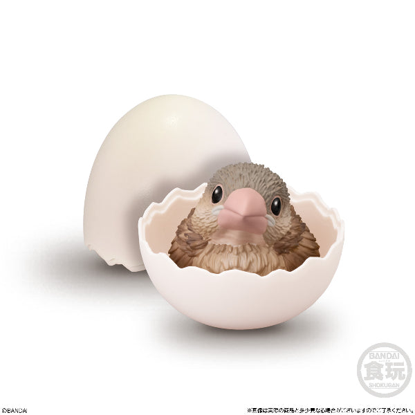 TE-NORI BABY FRIENDS -BIRD- (set of 6) 掌上動物 鳥