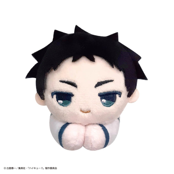 Haikyu!! Hagu Chara Collection Special (set of 10) (2024 June Resale ver.) 排球少年 hug