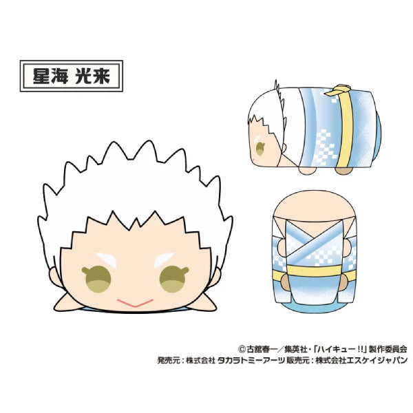 Mochimochi Mascot WA Haikyu!! vol.2 (set of 9) 排球少年 公仔